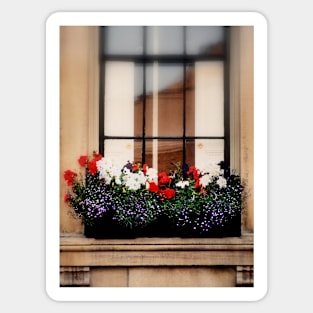 Windowsill & Spring Flowers Sticker